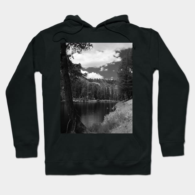 Ten Lakes Basin - Yosemite N.P. Hoodie by rodneyj46